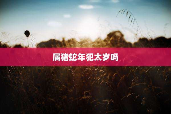 属猪蛇年犯太岁吗