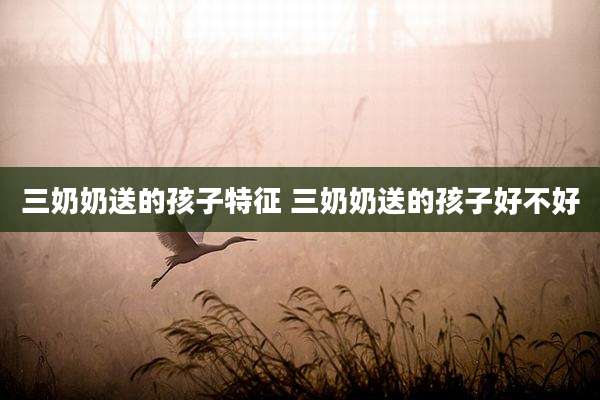 三奶奶送的孩子特征 三奶奶送的孩子好不好
