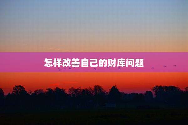 怎样改善自己的财库问题
