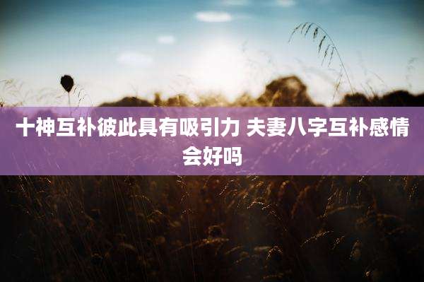 十神互补彼此具有吸引力 夫妻八字互补感情会好吗