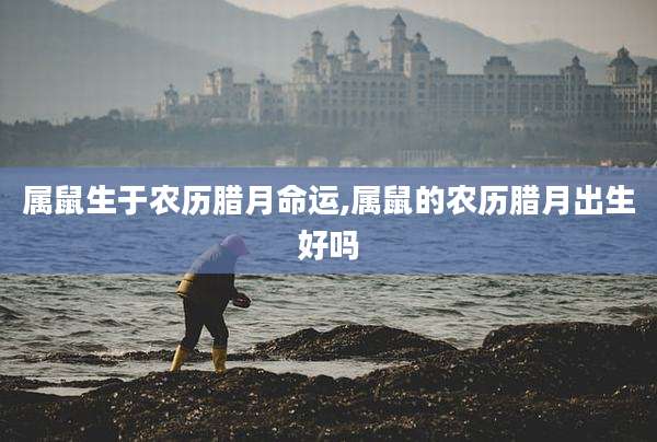 属鼠生于农历腊月命运,属鼠的农历腊月出生好吗