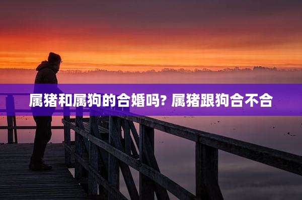 属猪和属狗的合婚吗? 属猪跟狗合不合