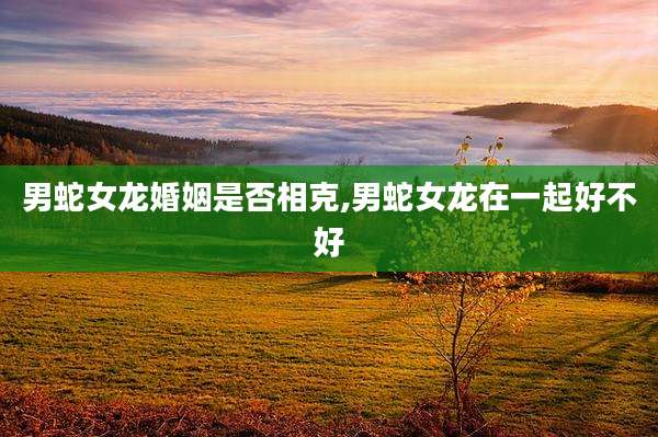 男蛇女龙婚姻是否相克,男蛇女龙在一起好不好