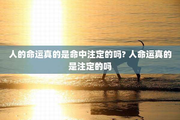 人的命运真的是命中注定的吗? 人命运真的是注定的吗