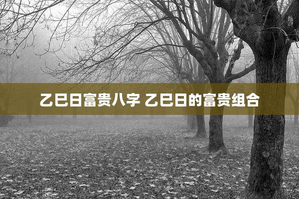 乙巳日富贵八字 乙巳日的富贵组合