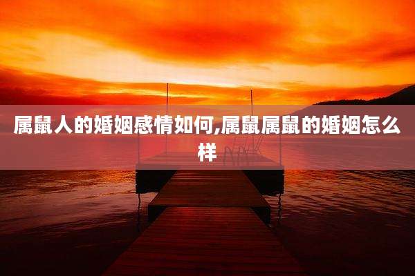 属鼠人的婚姻感情如何,属鼠属鼠的婚姻怎么样