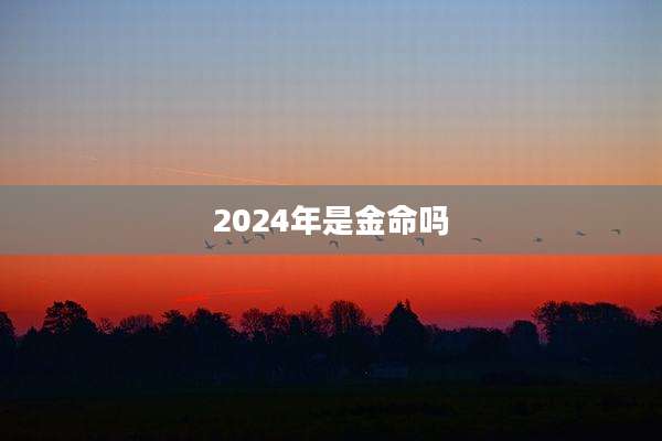 2024年是金命吗