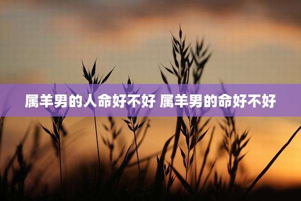 属羊男的人命好不好 属羊男的命好不好