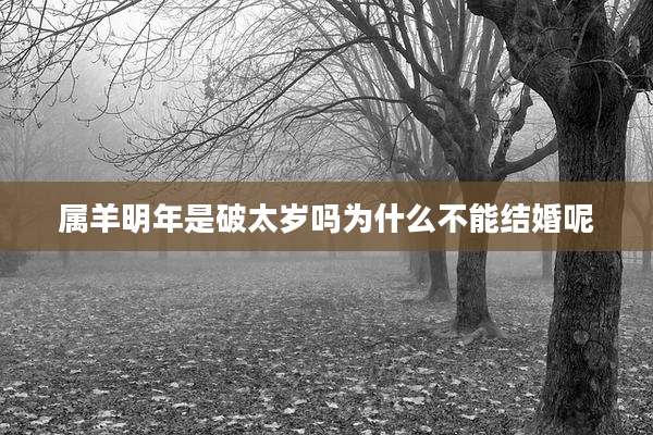 属羊明年是破太岁吗为什么不能结婚呢