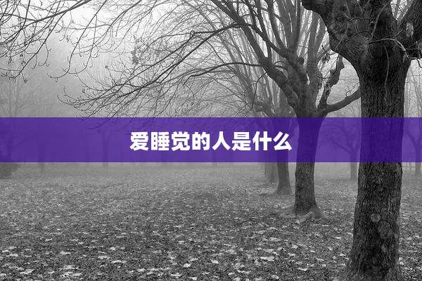 爱睡觉的人是什么