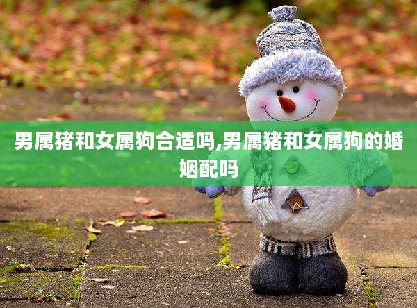 男属猪和女属狗合适吗,男属猪和女属狗的婚姻配吗
