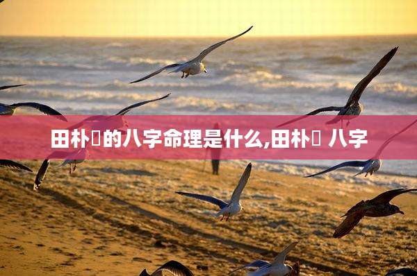 田朴珺的八字命理是什么,田朴珺 八字