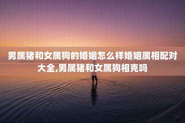 男属猪和女属狗的婚姻怎么样婚姻属相配对大全,男属猪和女属狗相克吗