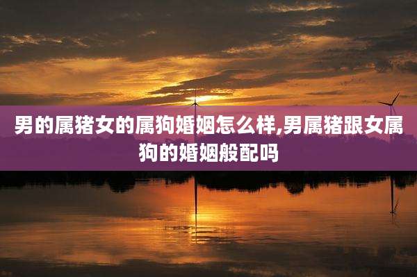 男的属猪女的属狗婚姻怎么样,男属猪跟女属狗的婚姻般配吗