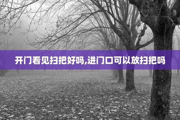 开门看见扫把好吗,进门口可以放扫把吗