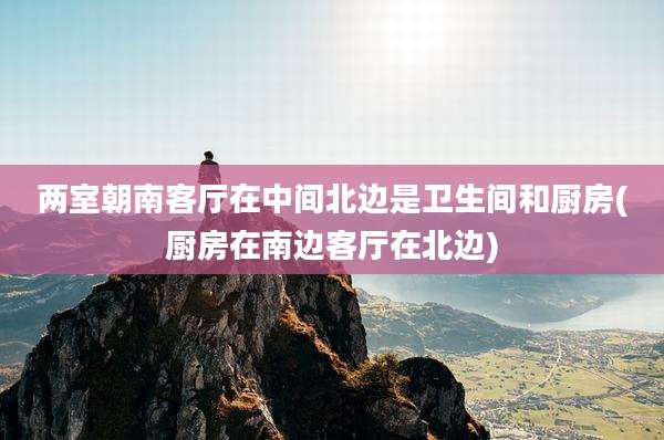 两室朝南客厅在中间北边是卫生间和厨房(厨房在南边客厅在北边)
