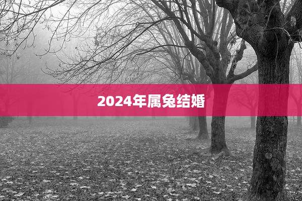 2024年属兔结婚