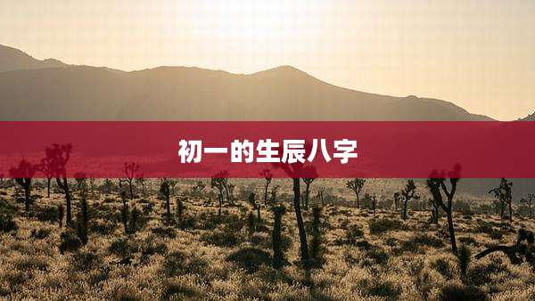 初一的生辰八字