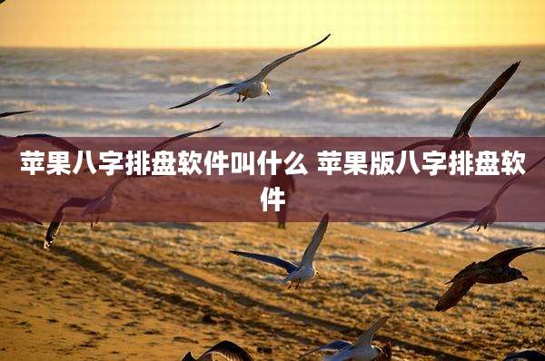 苹果八字排盘软件叫什么 苹果版八字排盘软件
