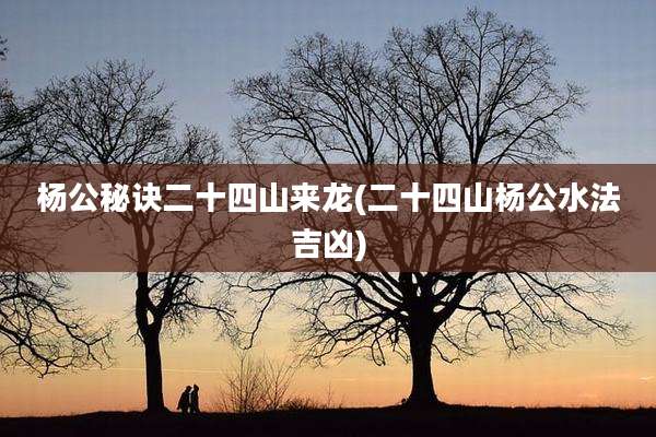 杨公秘诀二十四山来龙(二十四山杨公水法吉凶)