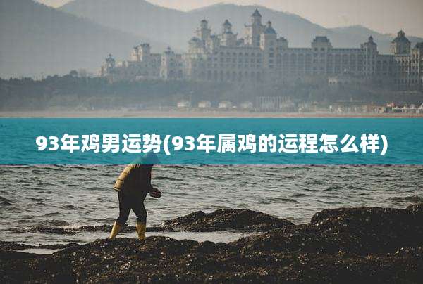 93年鸡男运势(93年属鸡的运程怎么样)