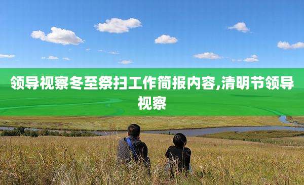领导视察冬至祭扫工作简报内容,清明节领导视察