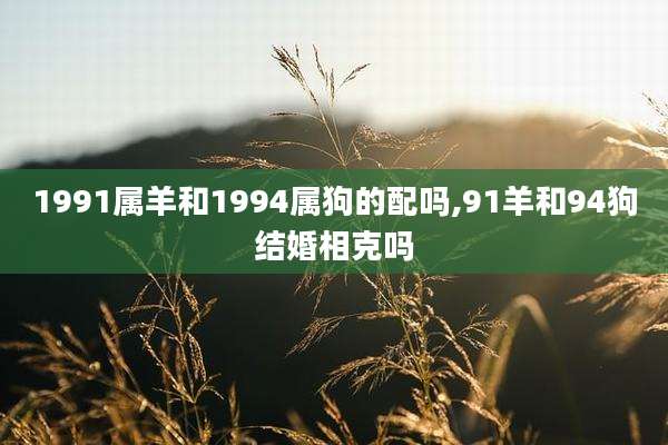 1991属羊和1994属狗的配吗,91羊和94狗结婚相克吗