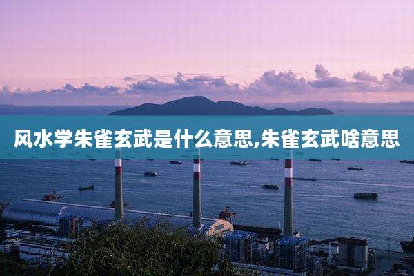 风水学朱雀玄武是什么意思,朱雀玄武啥意思