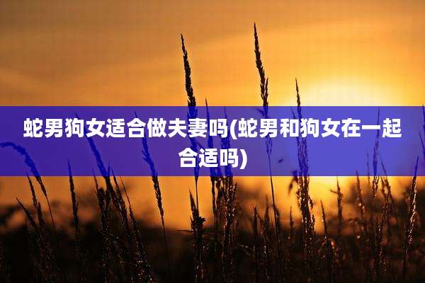 蛇男狗女适合做夫妻吗(蛇男和狗女在一起合适吗)