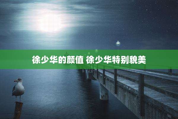 徐少华的颜值 徐少华特别貌美
