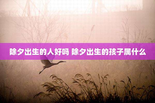 除夕出生的人好吗 除夕出生的孩子属什么