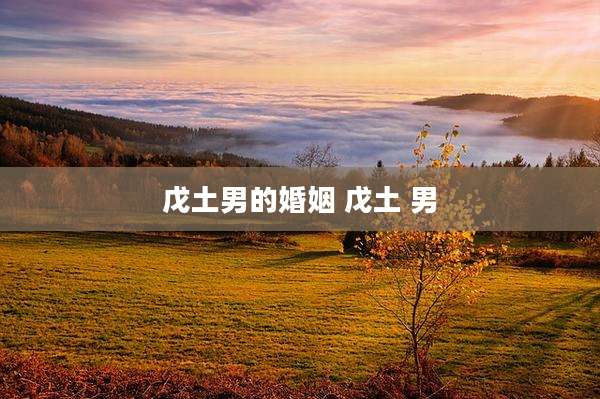 戊土男的婚姻 戊土 男