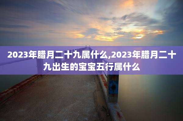 2023年腊月二十九属什么,2023年腊月二十九出生的宝宝五行属什么