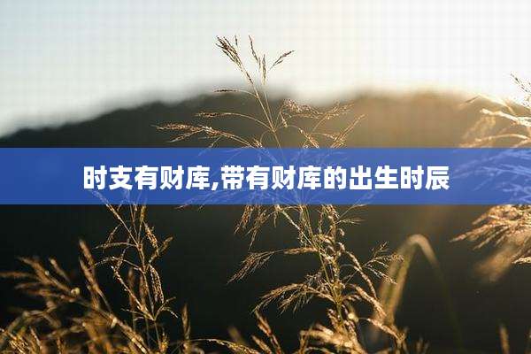 时支有财库,带有财库的出生时辰