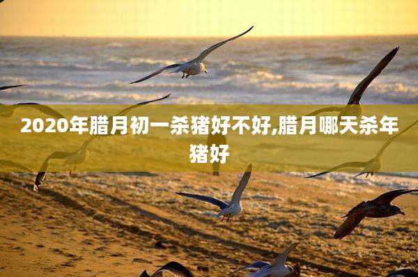 2020年腊月初一杀猪好不好,腊月哪天杀年猪好