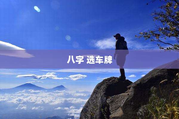 八字 选车牌