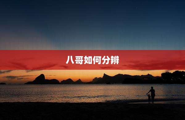 八哥如何分辨