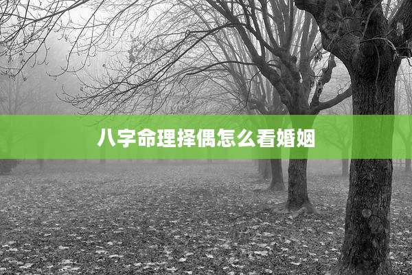 八字命理择偶怎么看婚姻