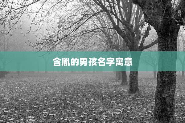含胤的男孩名字寓意