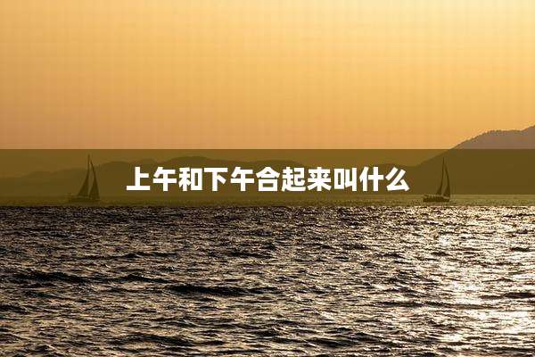 上午和下午合起来叫什么