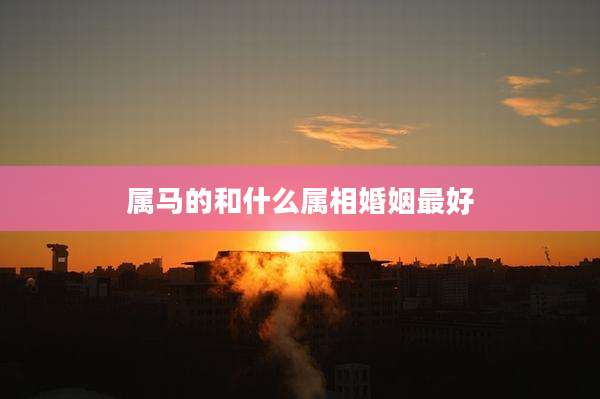 属马的和什么属相婚姻最好