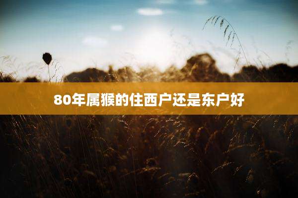 80年属猴的住西户还是东户好