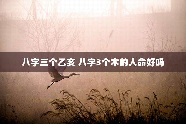 八字三个乙亥 八字3个木的人命好吗