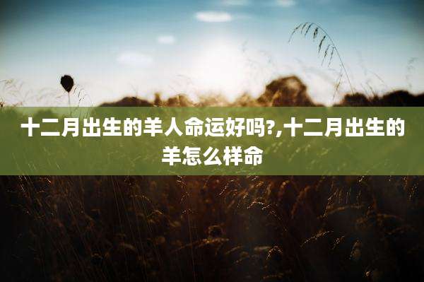 十二月出生的羊人命运好吗?,十二月出生的羊怎么样命