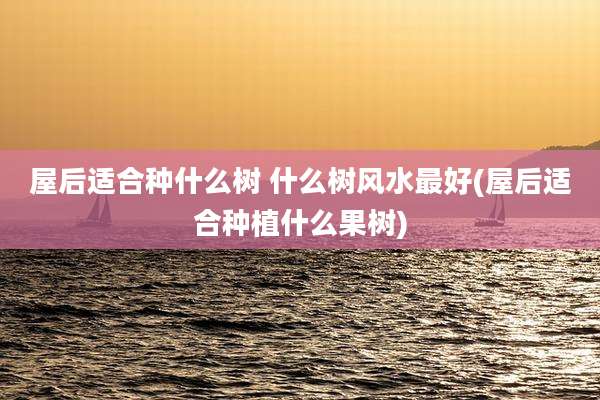 屋后适合种什么树 什么树风水最好(屋后适合种植什么果树)