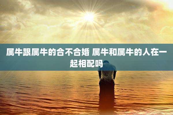属牛跟属牛的合不合婚 属牛和属牛的人在一起相配吗