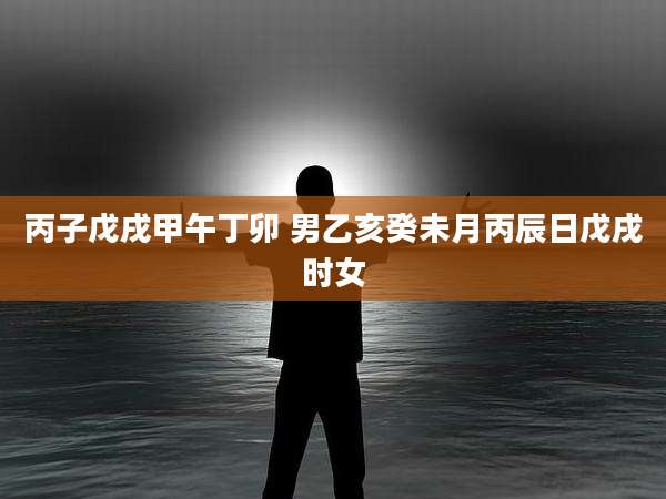 丙子戊戌甲午丁卯 男乙亥癸未月丙辰日戊戌时女