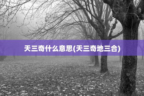 天三奇什么意思(天三奇地三合)
