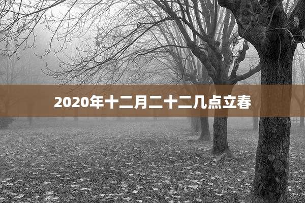 2020年十二月二十二几点立春