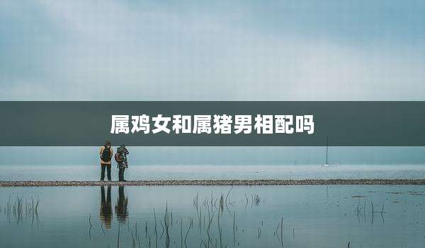 属鸡女和属猪男相配吗